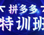 星雪教育·拼多多基础班+进阶班+突破班,用系统的学习模式快速改变现状价值3580元-老胡轻创社