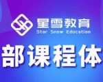 星雪教育淘系高级班,更全的运营提升方案,零基础由浅入深,店铺最新玩法-老胡轻创社