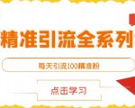 闲鱼精准引流全系列课程，每天引流100精准粉【视频课程】-老胡轻创社