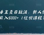 虚拟项目垂直类目玩法,新人快速起店,月入5000+【视频课程】-老胡轻创社