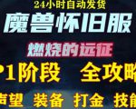 最新美服-怀旧服魔兽搬砖攻略，练级声望装备打金副本技能赚钱攻略-老胡轻创社