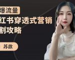 苏歆：小红书穿透式营销收割攻略，引爆流量，助你玩转小红书-老胡轻创社