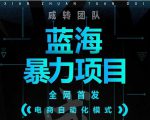 引流哥蓝海暴力躺赚项目：无需发圈无需引流无需售后，每单赚50-500（教程+线报群)-老胡轻创社