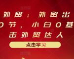 业仔外贸:外贸出口详解30节,小白0基础进击外贸达人 价值666元-老胡轻创社