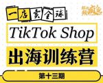 TikTokShop出海训练营（第十三期），打开全球流量新思维，出海抢占全球新流量，一店卖全球-老胡轻创社