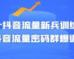 Peter抖音流量新兵训练营-破解抖音流量密码群爆训练营（新兵）-老胡轻创社