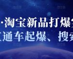 凌童·淘宝新品打爆实战班，直通车起爆、搜索起爆-老胡轻创社