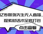 聚亿传媒张先生无人直播,教程素材话术全套打包-老胡轻创社