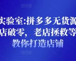 野路子实验室:拼多多无货源店群项目,新店破零,老店拯救等全方位教你打造店铺-老胡轻创社