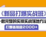 凌童《新品打爆实战班》,一套完整的实操实战落地方法,打爆链接超2000+(28节课)-老胡轻创社