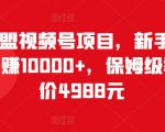 猎人联盟视频号项目，新手0基础轻松月赚10000+，保姆级教程原价4988元-老胡轻创社