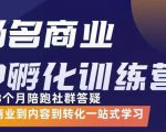 杨名商业IP孵化训练营,从商业到内容到转化一站式学 价值5980元-老胡轻创社