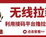 最新接码无限拉新项目,利用接码平台赚拉新平台差价,轻松日赚500+-老胡轻创社