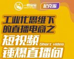 尼克派·工业化思维下的直播电商之短视频锤爆直播间,听话照做执行爆单-老胡轻创社