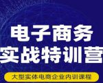 民赛电气内部出品:电子商务实战特训营,全方位带你入门电商,308种方式玩转电商-老胡轻创社