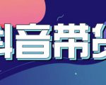 抖音直播带货入门必学教程，教快速上手抖音直播带货-老胡轻创社