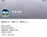 沙雕动画-皮蛋兄弟·熊猫人动画教学制作，全套素材文案教程分享！-老胡轻创社