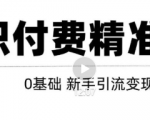 玩转知识付费项目精准引流,给你1套课多账号操作落地方案!-老胡轻创社