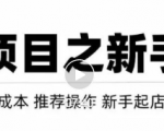 虚拟项目快速起店模式，0成本打造月入几万虚拟店铺！-老胡轻创社