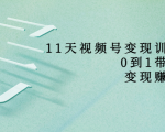11天视频号变现训练营，从0到1打造变现赚钱系统（价值398元）-老胡轻创社