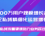 8000万用户规模增长方法论私域精细化运营增长，私域流量硬课助力业务跃迁-老胡轻创社