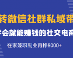 玩转微信社群私域带货，学会就能赚钱的社交电商，在家兼职副业再挣8000+-老胡轻创社