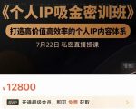 个人IP吸金密训班,打造高价值高效率的个人IP内容体系(价值12800元)-老胡轻创社