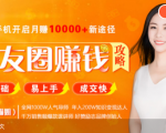 全网千万人气导师亲授:零基础/易上手的朋友圈赚钱攻略,让你轻松月入过万-老胡轻创社