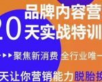 《内容营销实操特训营》20天让你营销能力脱胎换骨(价值3999)-老胡轻创社