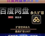 百度网盘无限扩容技术，外面卖399的，无论自己用还是用做引流都可以-老胡轻创社