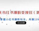 21天小红书涨粉变现营（第3期）：带你掌握小红书爆款玩法，月赚10W+秘密-老胡轻创社
