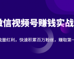 微信视频号赚钱实战：抓住流量红利，快速积累百万粉丝，赚取你的第一桶金-老胡轻创社