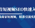 抖音短视频Seo搜索排名优化新手快速入门教程，实体商家短视频，精准引流实操课-老胡轻创社
