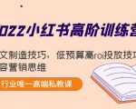 2022小红书高阶训练营：爆文制造技巧，低预算高roi投放技巧，内容营销思维-老胡轻创社