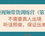视频带货训练营，不需要真人出境，听话照做，保证出单（第11期）-老胡轻创社