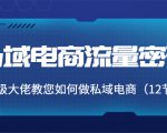 私域电商流量密码:千万级大佬教您如何做私域电商(12节课)-老胡轻创社