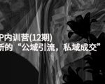 新媒体IP内训营(12期)，一套全新的“公域引流，私域成交”IP打法，直接带走-老胡轻创社