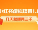 《小红书虚拟项目1.0》账号注册+养号+视频制作+引流+变现,几天就赚两三千-老胡轻创社
