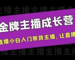 金牌主播成长营，一周从直播小白入门带货主播，让直播更简单-老胡轻创社