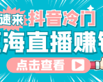 最新抖音冷门简单的蓝海直播赚钱玩法，流量大知道的人少，可做到全无人直播-老胡轻创社