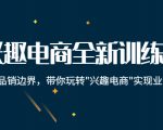 兴趣电商全新训练营：打破品销边界，带你玩转“兴趣电商“实现业务增长-老胡轻创社