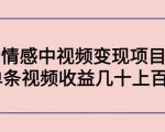 副业孵化营第5期:抖音情感中视频变现项目孵化 单条视频收益几十上百-老胡轻创社