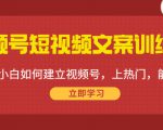 视频号短视频文案训练营:0基础小白如何建立视频号,上热门,能卖货!-老胡轻创社