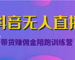抖音无人直播带货赚佣金陪跑训练营(价值6980元)-老胡轻创社