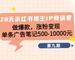 28天小红书博主IP特训营《第9期》做爆款,涨粉变现 单条广告笔记500-10000-老胡轻创社