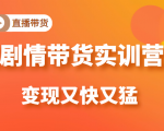《剧情带货实训营》目前最好的直播带货方式,变起现来是又快又猛(价值980元)-老胡轻创社