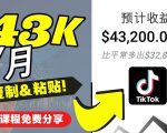 2022抖音国际版Tiktok赚钱项目：每天上传一个视频就轻松月入$43200-老胡轻创社