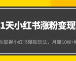 21天小红书涨粉变现营(第4期):带你掌握小红书爆款玩法,月赚10W+秘密-老胡轻创社