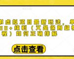 小红书虚拟项目最新玩法，单天1000+纯利（又是保姆级教程文档）-老胡轻创社