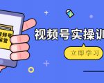 微信视频号实操训练营:视频号起号运营纯干货玩法!-老胡轻创社